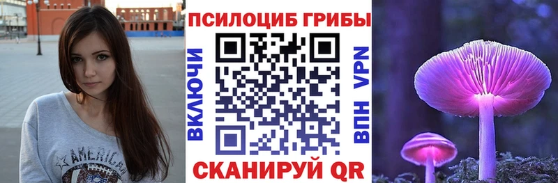 Купить закладки  Белёв  Галлюциногенные грибы Psilocybine cubensis 